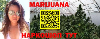 mdpv Лесосибирск