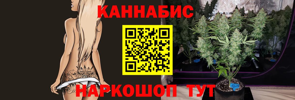 Шишки марихуана Amnesia Тара